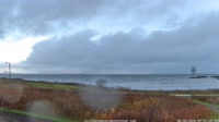 Laukvik