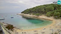 Lussinpiccolo - Sunčana uvala