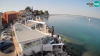 Cittanova - Porporela