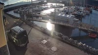 Fenit - Marina