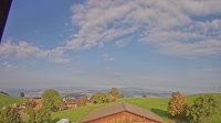 Root - Vista panoramica