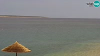 Pag - Camping Šimuni