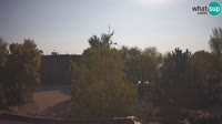 Miniaturansicht