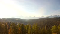 Miniaturansicht