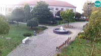 Miniaturka