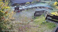 Miniatiūra