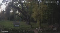 Zagnańsk - Bartekas