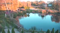 Rąbień - Stagno