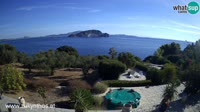 Zante - Marathias