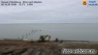 Husum - Dockkoog