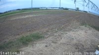 Miniaturansicht