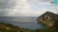 Ponza - Cala Cecata