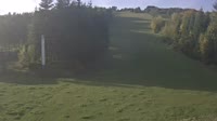Miniaturansicht