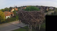 Miniaturansicht