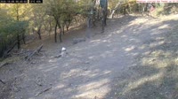 Veszprém - Comederos para pájaros