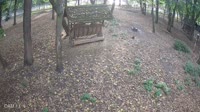 Miniaturansicht