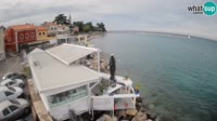 Novigrad - Porporela