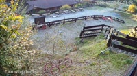 Miniaturansicht