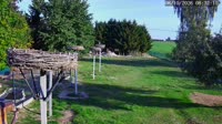 Miniaturansicht