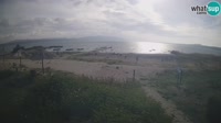 Miniaturansicht