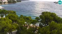 Brela - Bluesun hotel Soline - Vista panorámica
