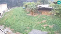 Liubliana - ZOO