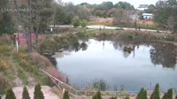 Rąbień - Staw