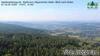 Maibrunn - Waldwipfelweg - Bosque de Baviera