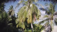 Akasdhoo - Hard Rock Hotel Maldives