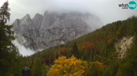 Kranjska Gora - Erjavčeva - Prisojnik