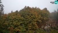 Tolminske Ravne - Planina Razor - Vogel