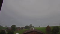 Root - Vista panorámica