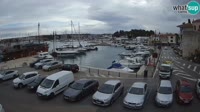 Novigrad - Porporela Marina