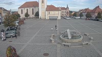 Dobřany - Náměstí, biotop