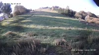 Miniaturansicht