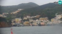 Ponza - Puerto