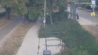 Miniaturansicht
