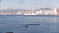 Benidorm - Playa