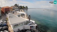 Cittanova - Porporela