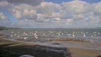 Miniaturansicht