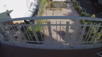 Merano -  Monte di Merano