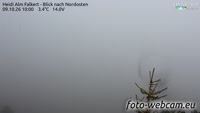Heidi Alm Falkert - Falkertsee