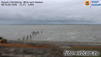 Husum - Dockkoog