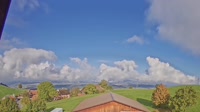 Root - Vista panoramica