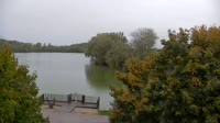 Žalec - Ribnik Vrbje