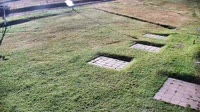 Miniaturansicht