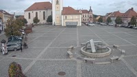 Dobřany - Náměstí, biotop