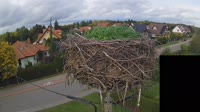 Miniaturansicht