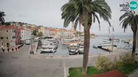 Brazza - Sutivan