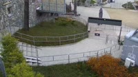 Miniaturansicht